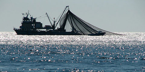 Готова e програмата за морско дело и рибарство 2014 – 2020 г.